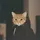 Miaw[SN]🧐