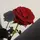 Cancer🌹