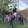 Mikki.eq