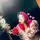 Ahamed Munni