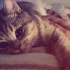 Kitty Hay Suyy .ᐟ-avatar