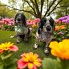 poppyanddaisy.908-avatar