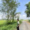 Prashant Raya -avatar