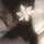 ‧₊ ᵎᵎ 🍒 ⋅ ˚✮𝒾𝐬𝒶