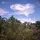 SKY... 
