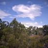 SKY... -avatar