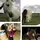 D,L ,E & Me❤️🐴