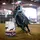Mikki.eq