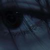 Yin {LDR}-avatar