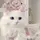 merochan