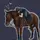 ✨AG_equestrian✨