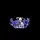 hen_21 [A11]