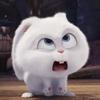 YW-avatar