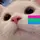 🏳️‍🌈ßēe<3🧷