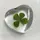🍀.⋆