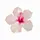 𝐥 𝐢 𝐧 𝐚🪩🎀