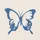 @butterfly.bloom🦋