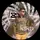 asad__sheikh01