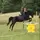 ~°Emma&les chevaux°~