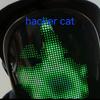 hacker cat-avatar