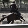 🃏AS_barrelracing♠️-avatar