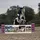 Zigazag Showjumping