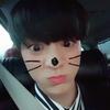 ยัคเปนแมวเหมียวตีตี๋-avatar