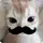 pizah