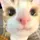 phon_77