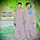 sohail38