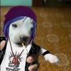 caro ?-avatar