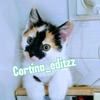 Cortina_editzz-avatar