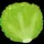 YT_レタスchannel