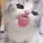 CupCat