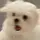୨୧⋆｡˚ 모찌 ˚｡⋆୨୧(닉도