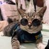 Bimol-avatar