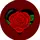 📎🖇️Redgirlsa🧡💛🤍🩵💙