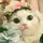 Fext