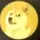 angry doge