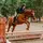 Eleanor_eq