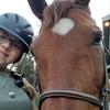 Hugs_Hearts_Horses✝️-avatar
