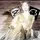 swiftieanna13 ৎ⸆⸉ 