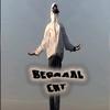 Begaaal [crt]-avatar