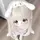 Konten Random[LS]