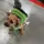 Ivan_99