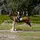 Georgia_Eventing ྀིྀིྀིྀིྀི