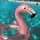 Adnisw˚˖𓍢ִ໋🦢˚಄
