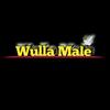 Wulla Male🕊-avatar