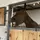 Horsiara