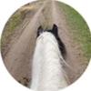 horse..edts‼️break‼️-avatar